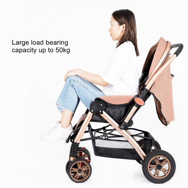 chicco double stroller